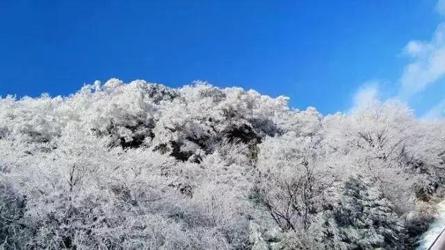 解锁你的吉鹿力 | 哺乳期妈妈要杜绝哪些不靠谱的“健康提醒”?问答社区