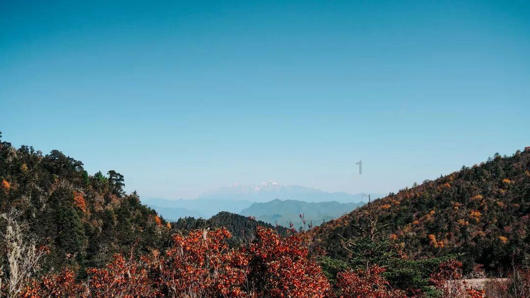 逃离荒凉之地