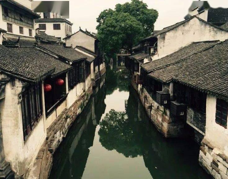 引球进框选关版