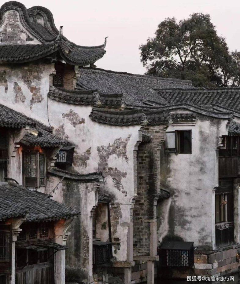 《一个女人一生中的24小时》《恋爱的犀牛》《两只狗的生活意见》《无政府》;电影提名、电影节开幕;艺术展