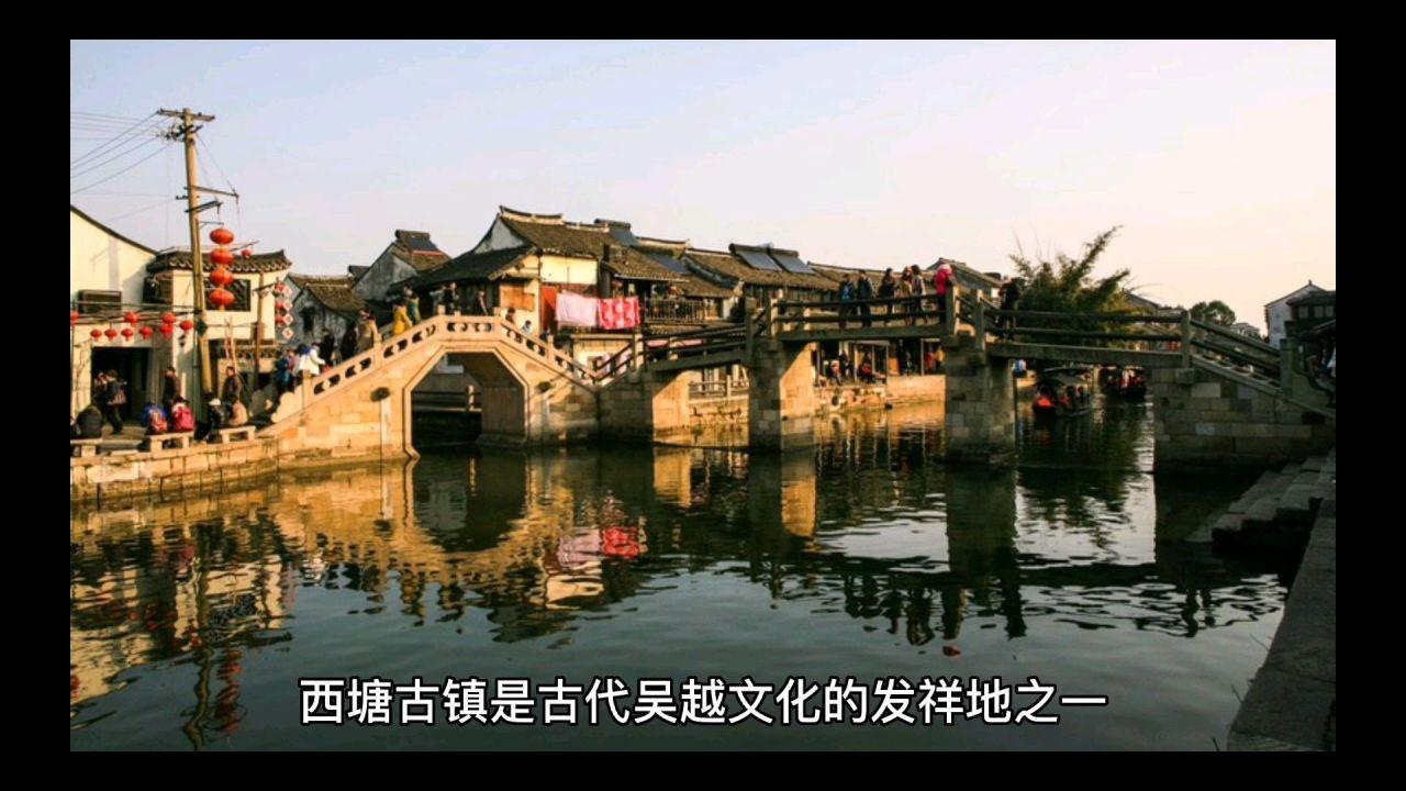 可爱小猫向上跳